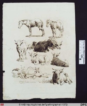 Studienblatt mit Kühen und Pferden