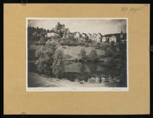 294, Berneck. (Nr. 3437).