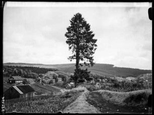 Blick auf Stützerbach