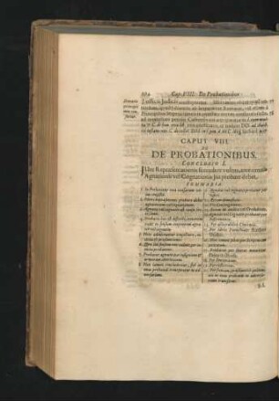 Caput VIII. De Probationibus.