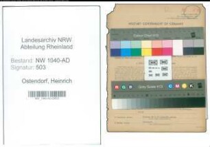 Entnazifizierung Heinrich Ostendorf , geb. 21.04.1892 (Landwirt)