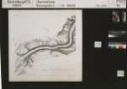 Karte des Elbstromes innerhalb des Königreichs Sachsen mit Angabe des Überschwemmungsgebietes der Elbe durch das Hochwasser vom 31.3.1845