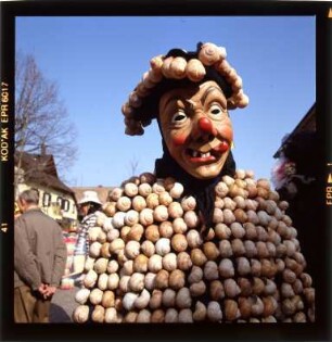 Fastnacht in Wolfach mit "Schneckenhüslinarro"