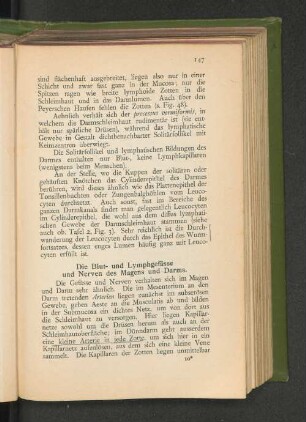 Die Blut- und Lymphgefässe und Nerven des Magens und Darms.