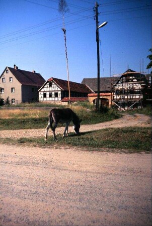 Gehöft Nr. 3, Maibaum, Esel