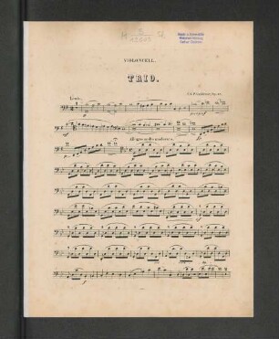 Violoncell. Trio.