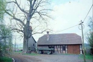 ehemaliges Brauhaus, davor große Linde