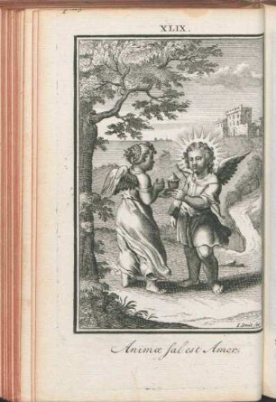 XLIX. [L'Amour est un vrai sel à l'Ame.]