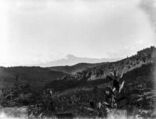 Berglandschaft : Berglandschaft mit urwaldartigem Regenwald