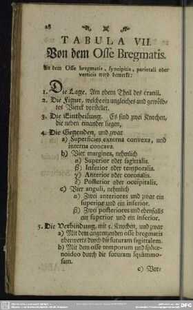 Tabula VII. Von dem Osse Bregmatis
