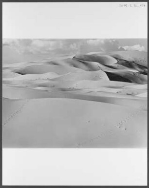 Sahara : Dünen in der nordafrikanischen Sahara