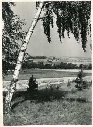 Blick vom Gedenkstein an das Jahr 1813 in Richtung Jenkwitz : Pohlad na Jenkecy blisko pomnika dopominajo na lěto 1813