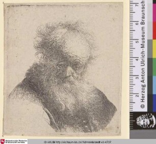 [Bärtiger Greis mit weißem Ärmel; Bust of an Old Man with Flowing Beard and White Sleeve; Vieillard à grande barbe et tête chauve]