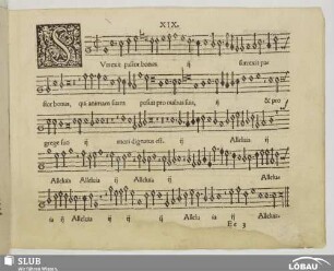 XIX. Surrexit pastor bonus
