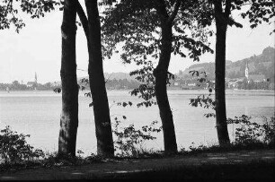 Schliersee: durch Bäume auf See, von der Straße