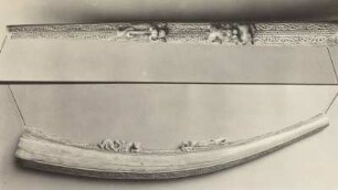 Romanisches Horn : Romanisches Horn mit Tierplastiken. Elfenbein. Aufnahme mit Spiegelung. Dresden: Rüstkammer I 1001