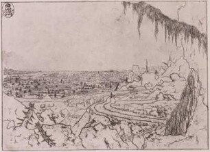Landschaft mit dem Fichtenzweig