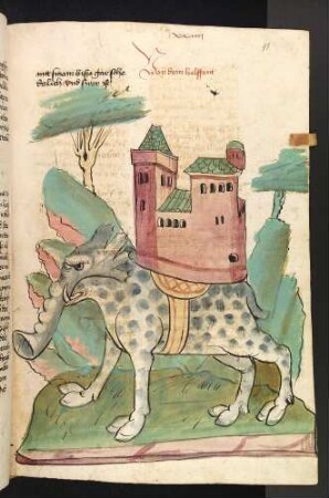 Der Elefant