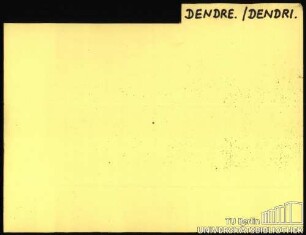 47: DEN-DIB