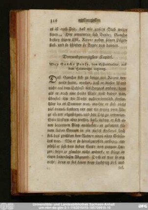 Dreyundzwanzigstes Kapitel. Wie's Sancho Pansa, dem Exstatthalter, auf dem Heimwege ergieng.