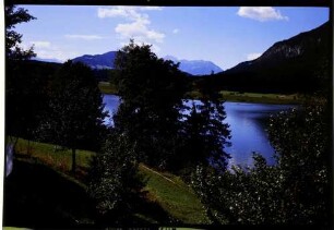 Passriach: Pressegger See, Vordergrund Wiese und Bäume