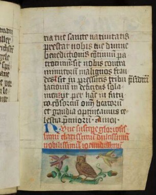 Miniatur (Bas-de-page): Uhu und zwei Vögel