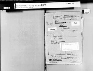 Beklagter: Camilla, Peter; Zeuge: Bohl, Heinrich: Diebstahl
