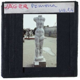 Jäger, Pomona