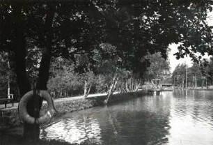 Seifhennersdorf. Volksbad. Badeteich mit Sprungturm