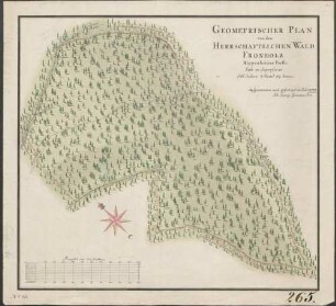 Geometrischer Plan von dem Herrschaftlichen Wald Fronholz Kippenheimer Forsts