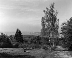 Landschaft (vielleicht bei Leonberg)