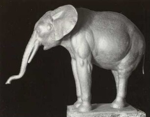 Elefant
