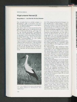 Vögel unserer Heimat (3) : Bergenhusen - das Dorf der Weißen Störche