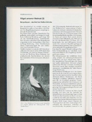 Vögel unserer Heimat (3) : Bergenhusen - das Dorf der Weißen Störche