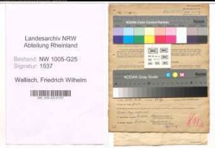 Entnazifizierung Friedrich Wilhelm Wallisch , geb. 12.11.1902 (Kaufm.Angestellter)