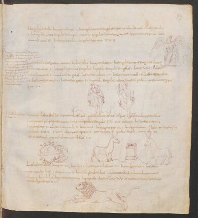Federzeichnungen Sternbilder: Virgo, Gemini, Cancer, Leo