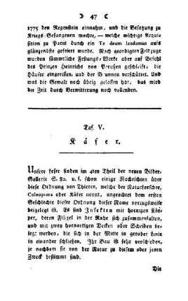 Käfer : Taf. V
