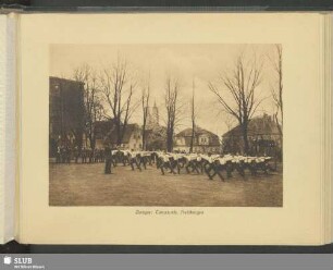 Zwinger: Turnstunde, Freiübungen