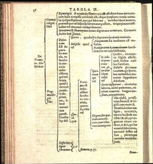 Tabula IX.