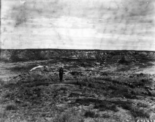 Petrified-Forest-Nationalpark : Portrait eines Mannes bei versteinerten Baumstämmen im Petrified-Forest-Nationalpark.