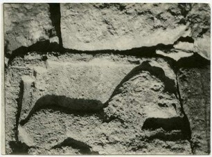 Löwenrelief in Geras [Gerasa] [Aufnahme wohl spiegelverkehrt]