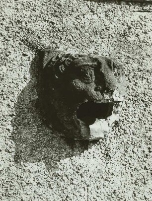 Löwenkopf an der Kaimauer