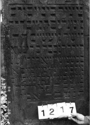 Grabstein 1217 (Index: 99903100) Material: Sandstein Maße HxBxT: 150x70x10 cm: Grabstein 1217 (Nachholaufnahme)