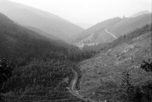 Oberried: Kahlschläge und Aufforstung im Oberrieder Tal