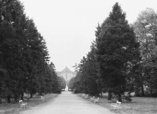 Moritzburg. Fichtenallee : Moritzburg, Jagdschloss. Zufahrt Mittelallee (Fichtenallee)