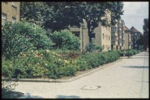 Vorgärten der Kreuznacher Straße