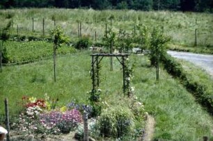 Garten Bandweberhaus im Museum