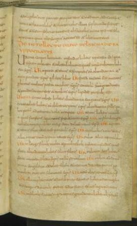 De intellectu urinae