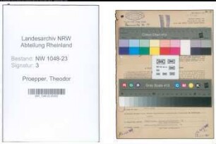 Entnazifizierung Theodor Proepper , geb. 26.08.1901 (Architekt)