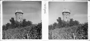 Burg Sponeck